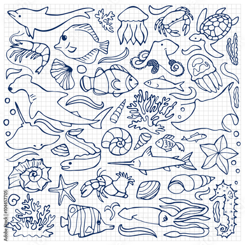 Sea doodle set
