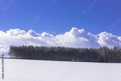 北の大地の雪景色 © san724