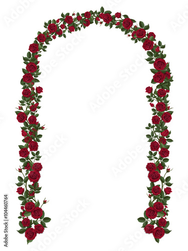 Arch of red climbing roses. Floral design. Wedding decoration. Vector illustration, detailed, isolated on white background.