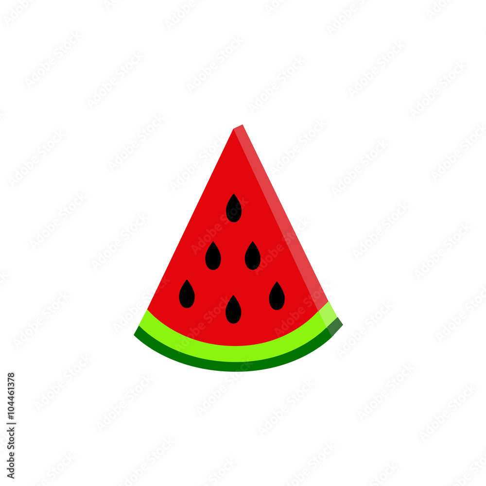 water-melon  on white background. vector. flat