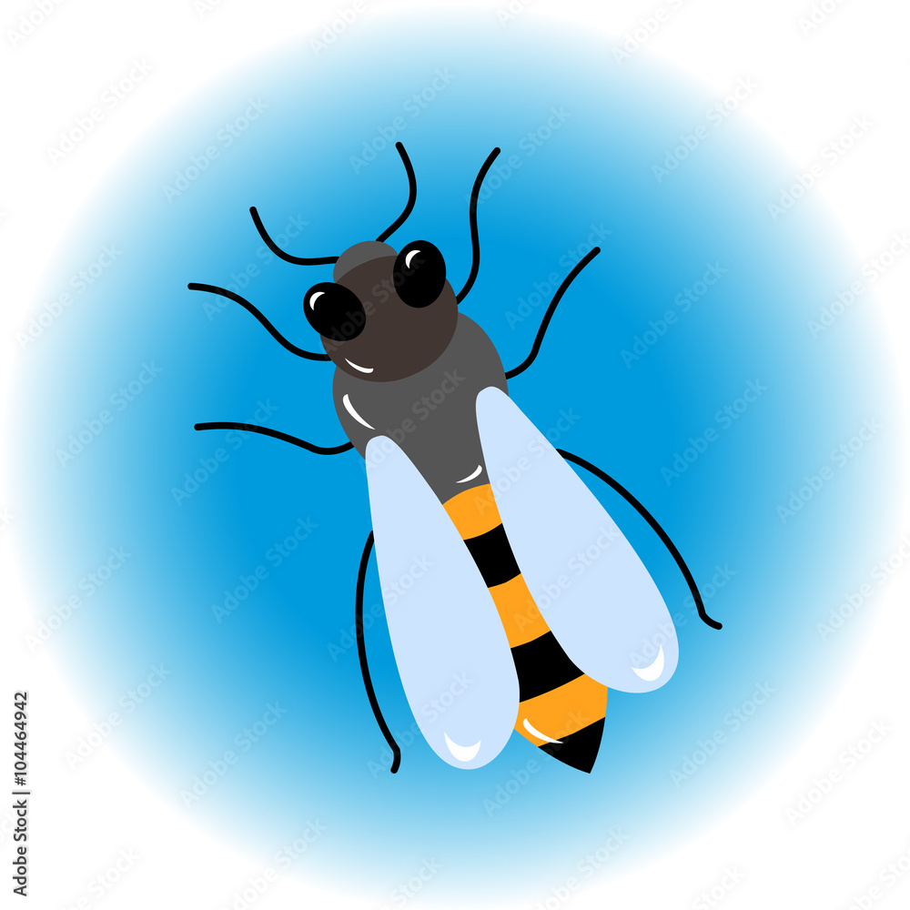 Fototapeta premium Isolated bee icon