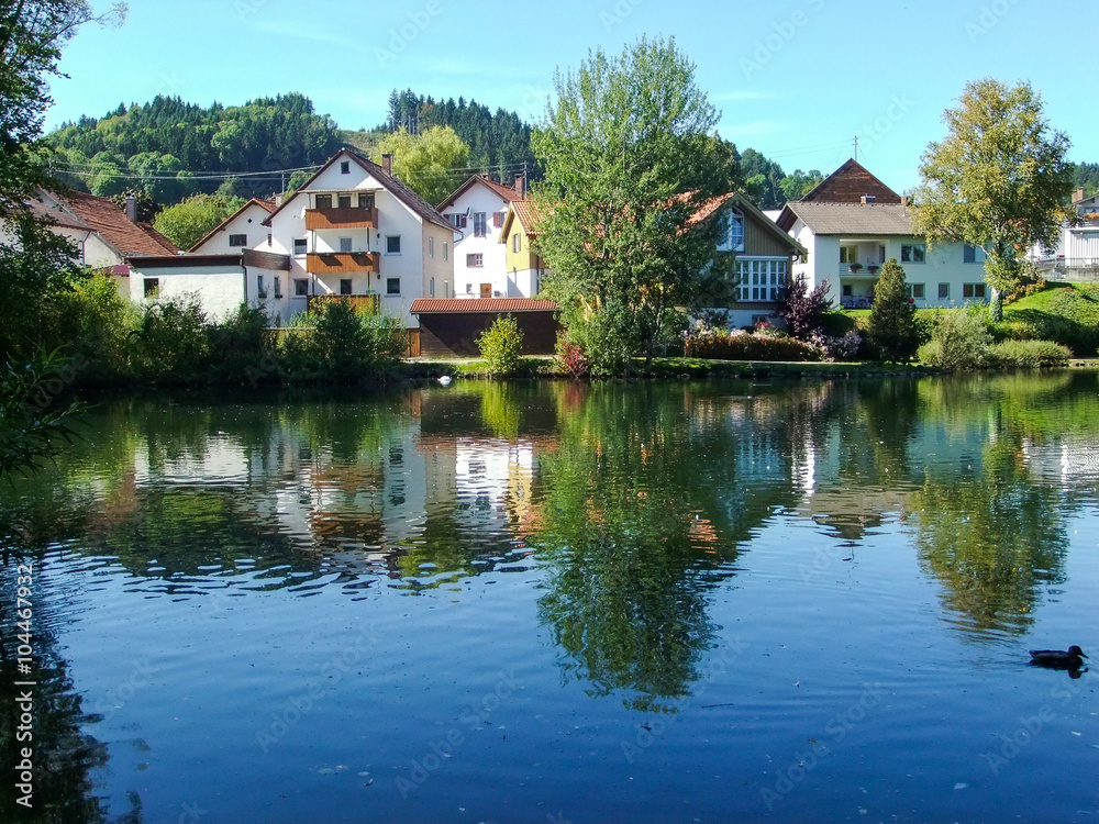 Houses laid against a pond in Peiting, Germany