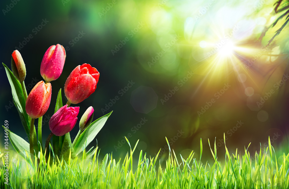 Tulips On Grass In Sunny Meadow With Sunbeam - obrazy, fototapety, plakaty 