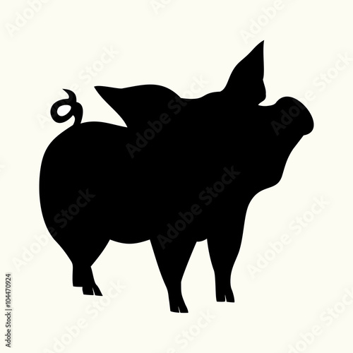 piggy