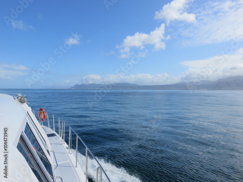 Whale watching boat tour in Hermanus  South Africa