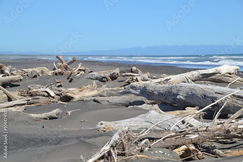 Turakina Beach - Driftwood photo