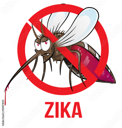 mosquito zika