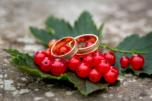 Wedding rings.