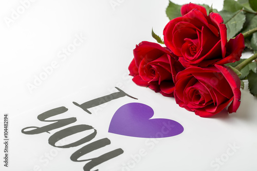 Kırmızı Güller Romantik