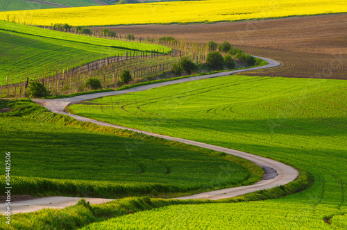 Rural landscape with green fields, road and waves, South Moravia, Czech Republic