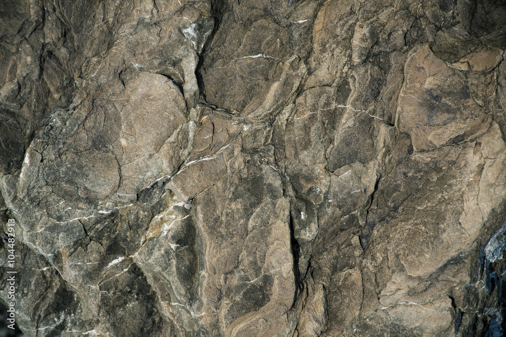Brown stone with protuberances Brown stone with protuberances