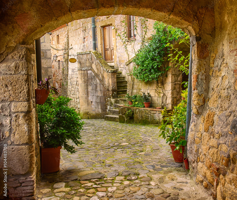 Fototapeta Wąska ulica średniowieczny tufowy miasto Sorano z łukiem, zielonymi roślinami i brukowiskiem, podróży Włochy tło