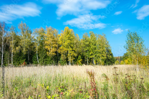 Landscape in early autumn.