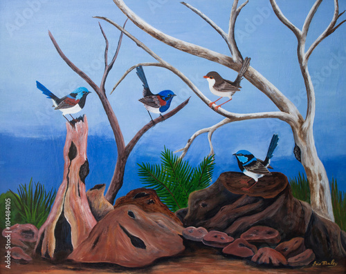 фотографія Acrylic painting of Superb Fairy Wrens an Australian native bird