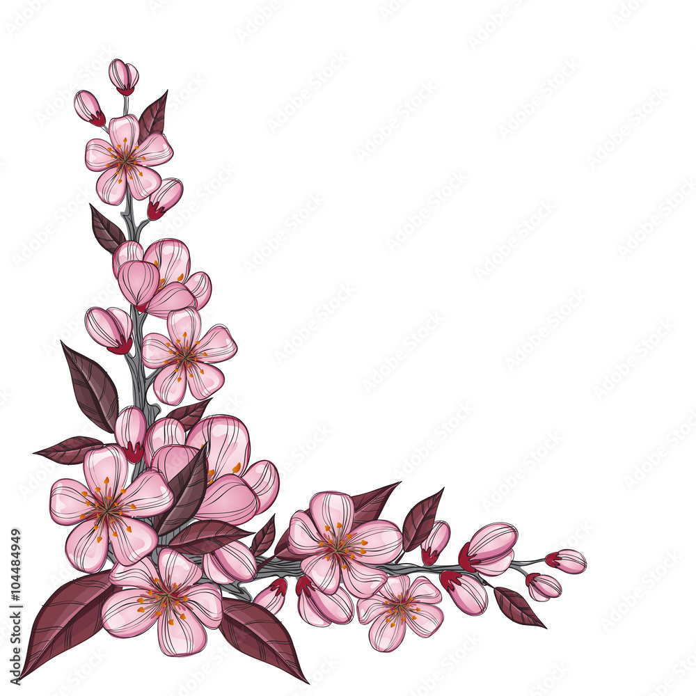 Naklejka premium Tree branch drawing with pink cherry flowers for corner decoration, isolated on white