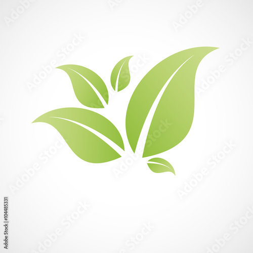 feuille verte