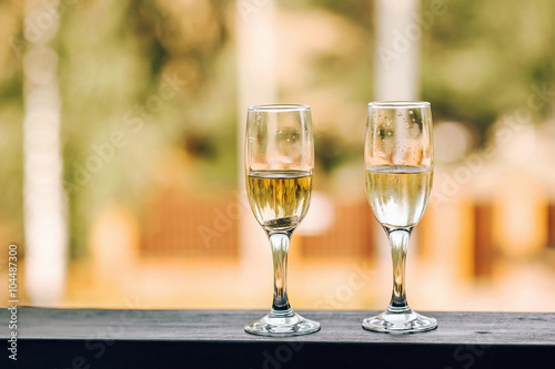 two glasses of champagne with nature background 