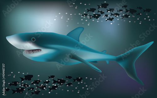 Underwater background with White Shark, vector illustration © CaroDi