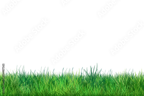 Spring Green Grass on white color background. Digital illustration, poster