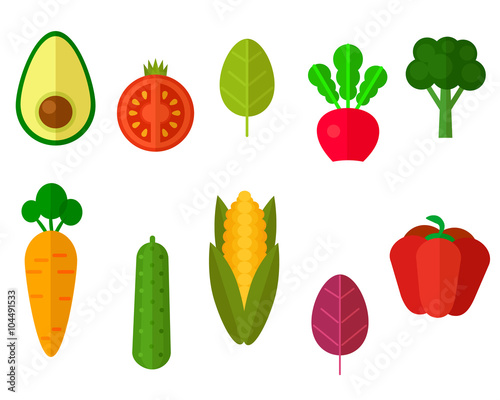 Various useful vegetables.Vector illustration. Vector illustration