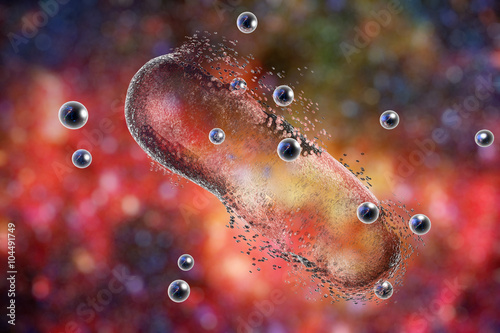 Destruction of a bacterium by silver nanoparticles. An illustration can be also used to demonstrate action of any antibiotic substance or drug photo