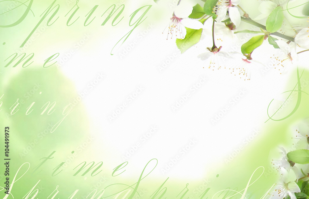 Light background with white flowers and green leave on a tree branch.