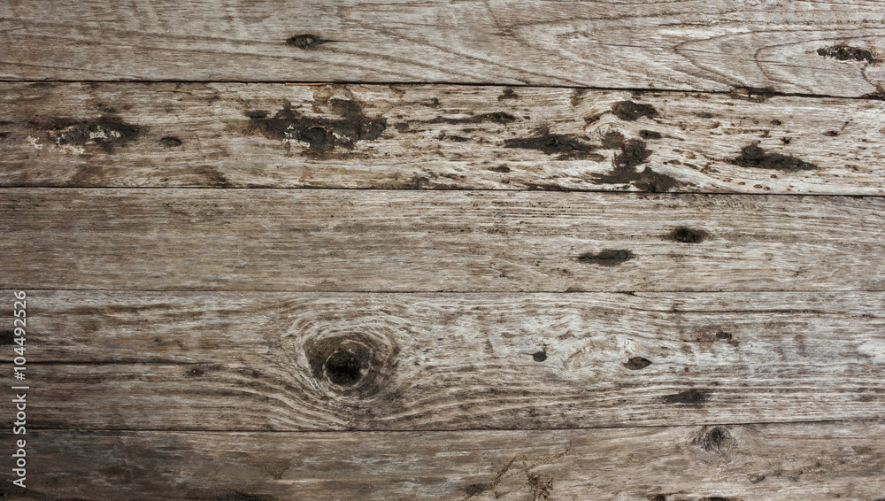 Obraz premium Old wood texture background