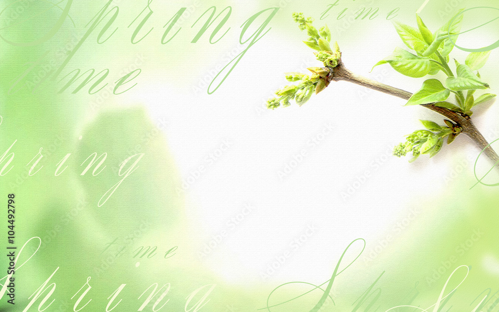 Fototapeta premium Light background with a green leave on a tree branch.
