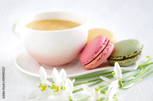 Macarons photo