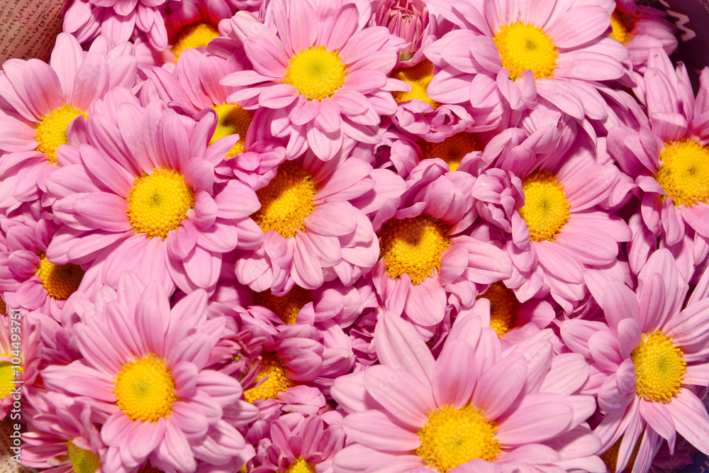 Fresh Flowers Background Fresh Flowers Background
