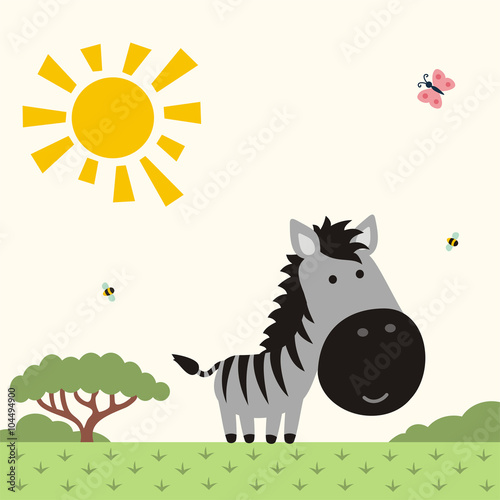 funny zebra, african animal, cute little zebra on nature