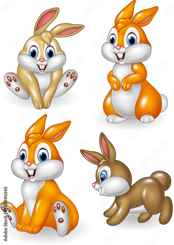 Fototapeta premium Cute bunny collection set isolated on white background