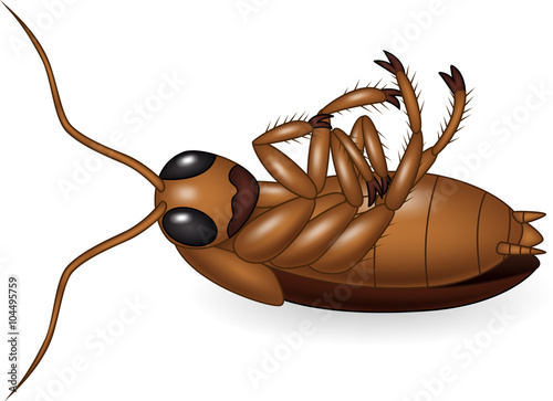 Cartoon dead cockroach