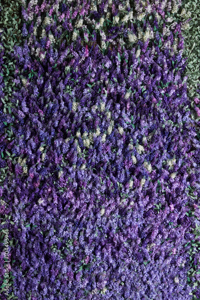 Fototapeta premium Wall of lavender flowers , artificial flowers , volumetric light , general views , live background, good texture