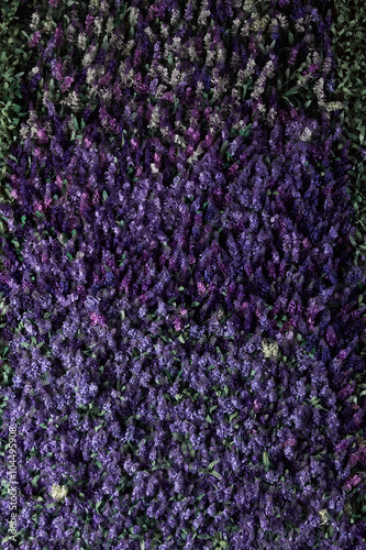 Wall of lavender flowers , artificial flowers , volumetric light , general views , live background, good texture