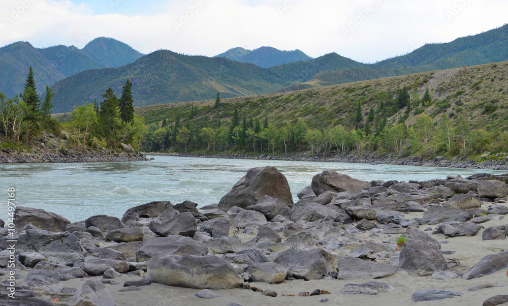 Fototapeta premium sandy beach on the river Katun, Altai Mountains, Siberia, Russia