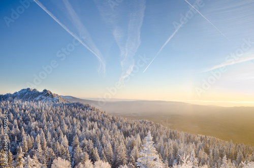 Schilderij op canvas Winter forest in the mountains sunrise Majestic winter trees glowing by sunlight