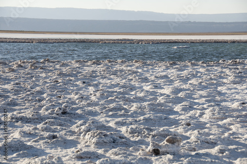 Laguna de agua salada y salar en el desierto de Atacama. Chile
