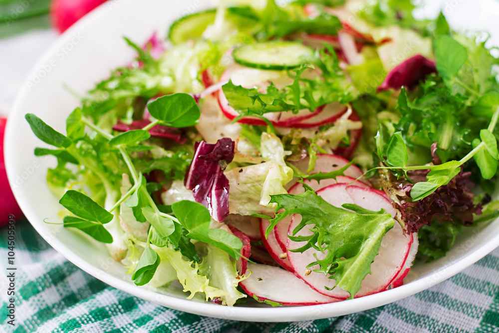 Fresh salad of cucumbers, radishes and herbs Fresh salad of cucumbers, radishes and herbs