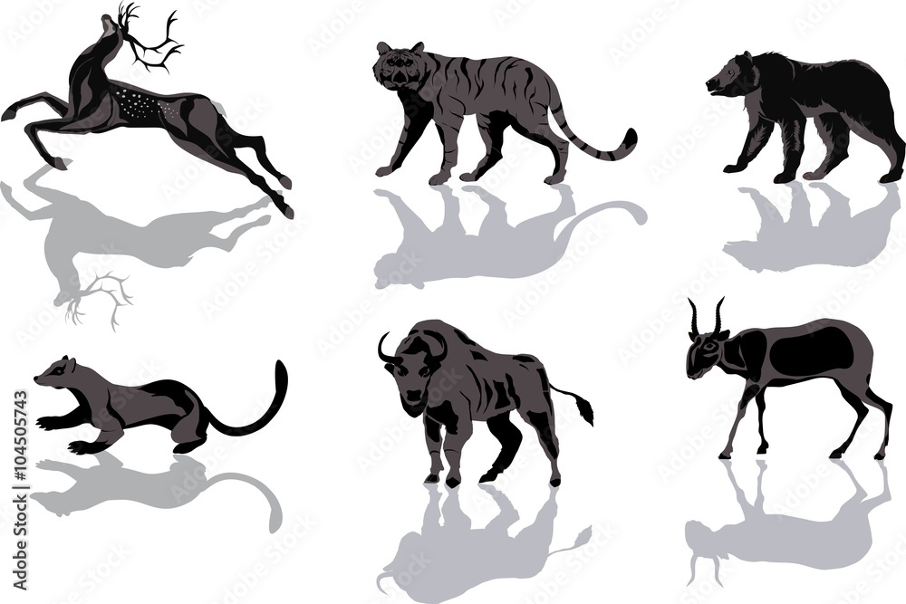 Wild animals with reflecting shadows vector set