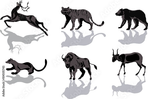 Fototapeta Naklejka Na Ścianę i Meble -  Wild animals with reflecting shadows vector set