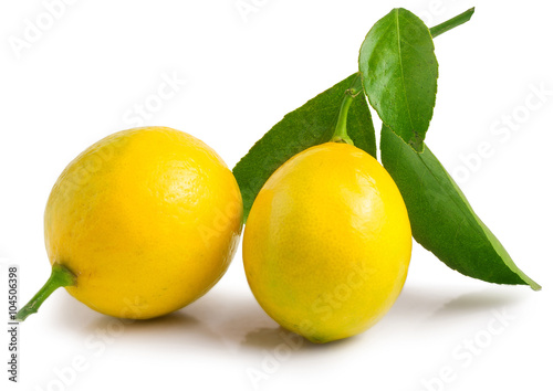fresh lemons with green leaves isolated on white background