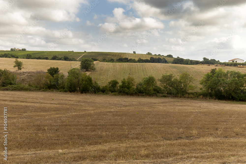 Fototapeta premium Colline Toscane