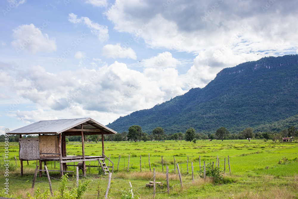 Fields near the mountain