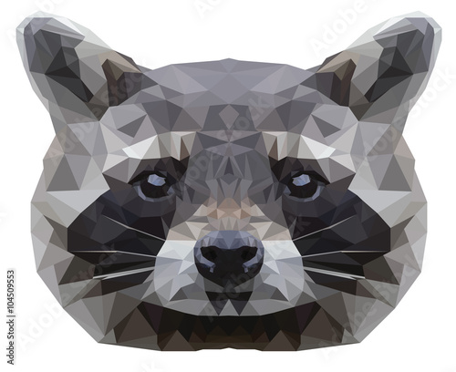 Coon portrait. Abstract low poly design. Vector illustration.