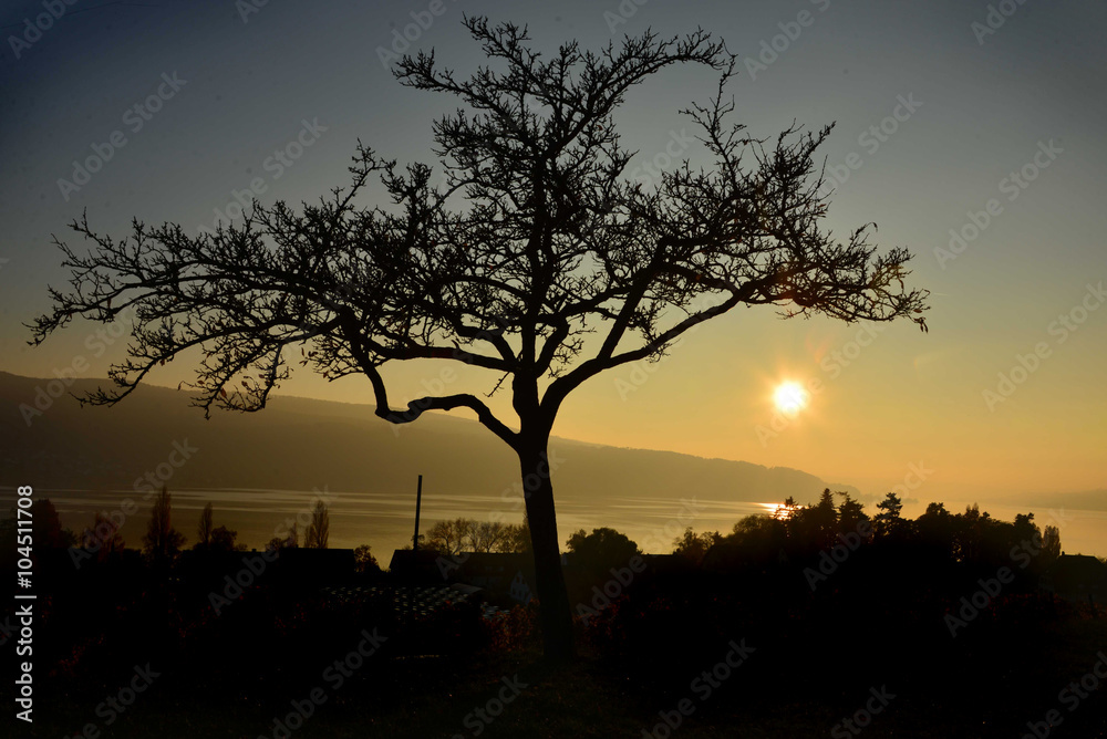 Fototapeta premium Sonnenuntergang