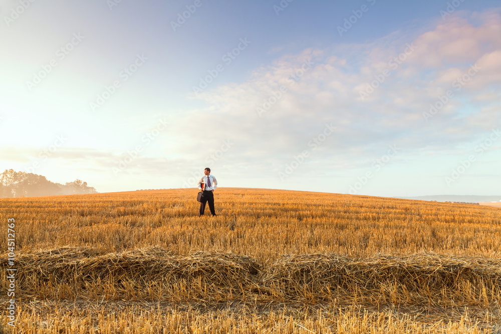 Contemporary businessman farmer in the landscape Contemporary businessman farmer in the landscape