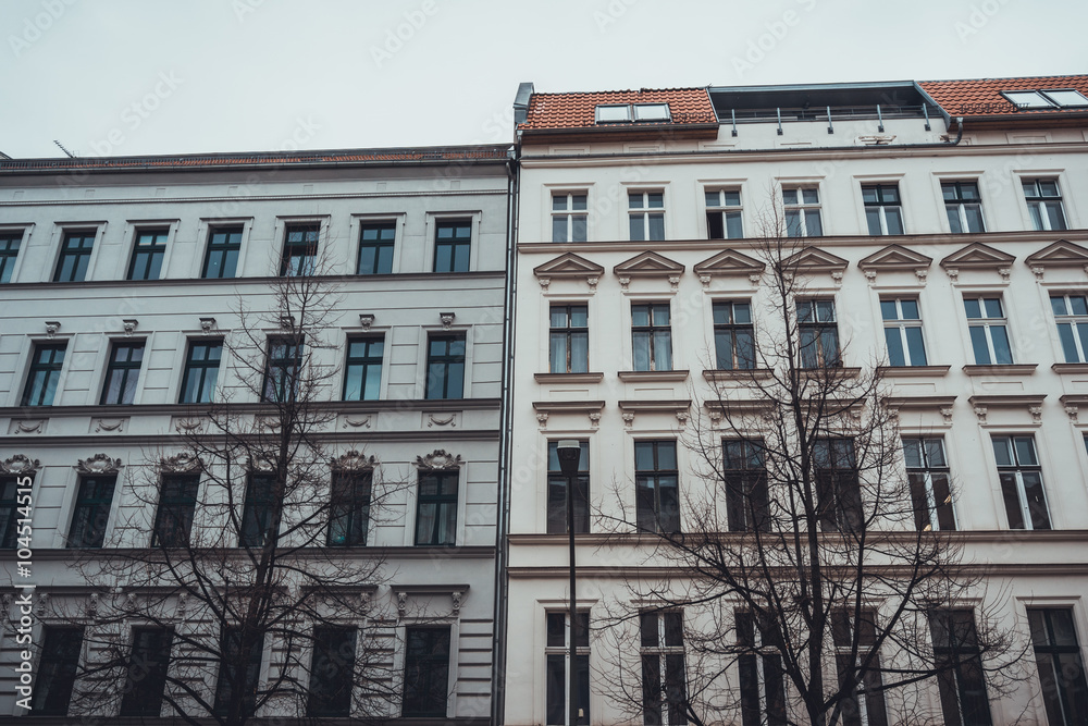 Fototapeta premium Low Rise Buildings with Bare Trees on Overcast Day