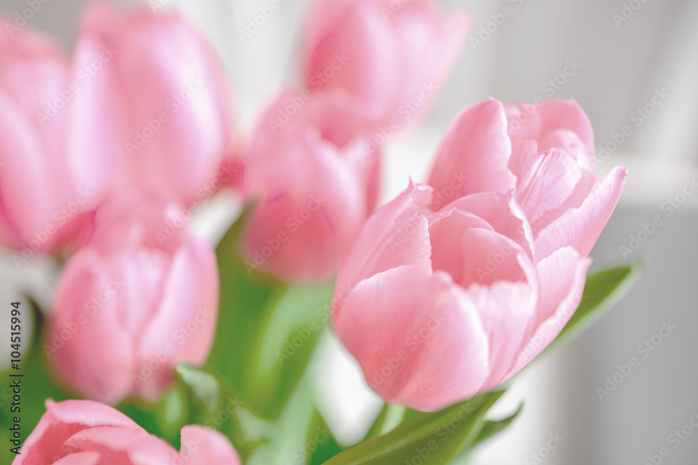 Bouquet of fresh tulips bringing spring as a gift Bouquet of fresh tulips bringing spring as a gift