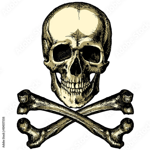 A skull and crossbones on a blank background